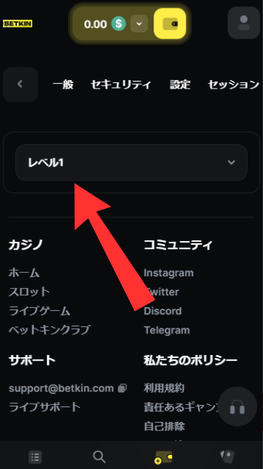 ベットキンカジノのKYCを行う際にレベル1の項目を入力