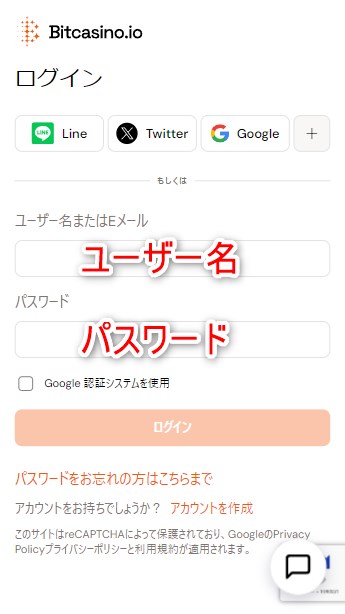 ビットカジノのログインでユーザー名とパスワードを入力する