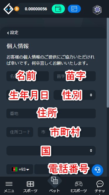 ビットスラーカジノのKYCで個人情報を入力する