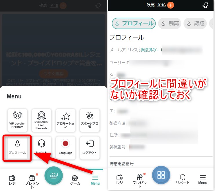 コンクエスタドールのKYCでプロフィール情報を確認する