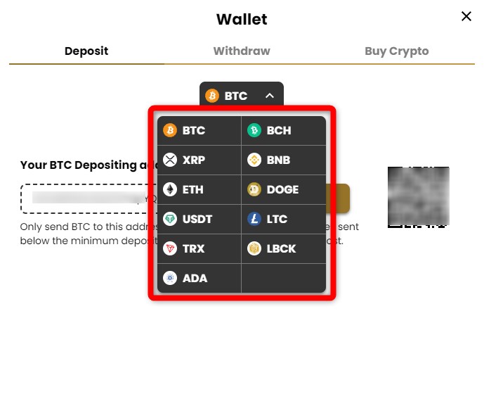 ラッキーブロックカジノの入金で仮想通貨を選択する