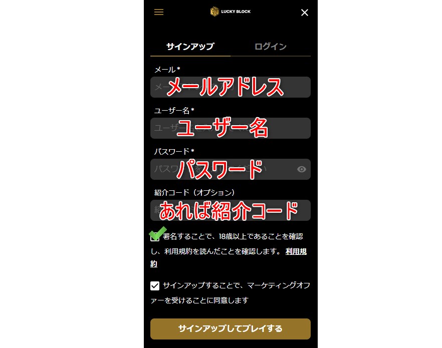 ラッキーブロックカジノの登録情報を入力する