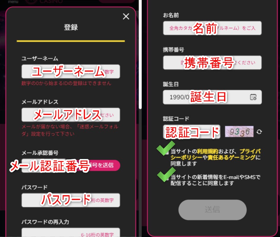 ミラクルカジノの登録でメールアドレスとパスワードを入力する