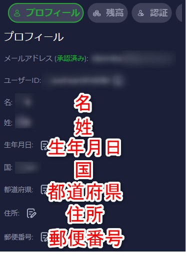 ラーメンベットカジノのKYCでプロフィール情報を入力する