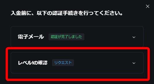 シャッフルカジノ(SHUFFLE)で入金のためにKYCレベル1も行う