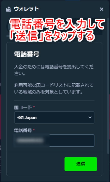 ステークカジノのJPY入金で国コードと電話番号を入力する