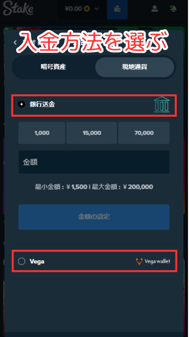 ステークカジノに入金する際に入金方法を選ぶ