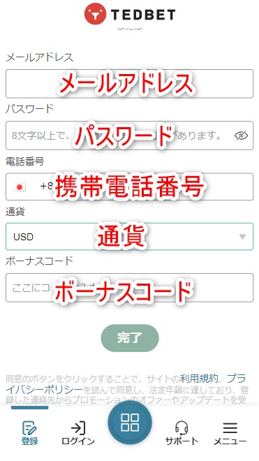 テッドベットの登録でメールアドレスやパスワードなどの情報を入力する