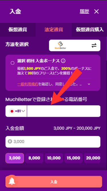 トラストダイスカジノに法定通貨で入金する際に必要な支払い情報を入力