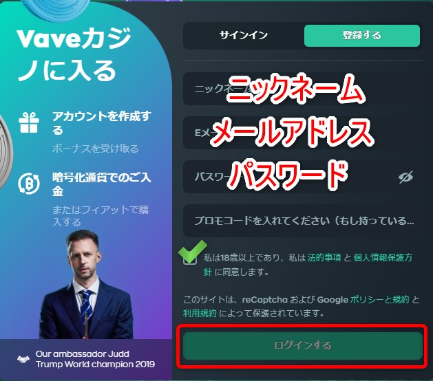 ベイブカジノの登録情報を入力する