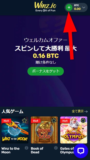ウィンズアイオーの入金ボタンをタップする