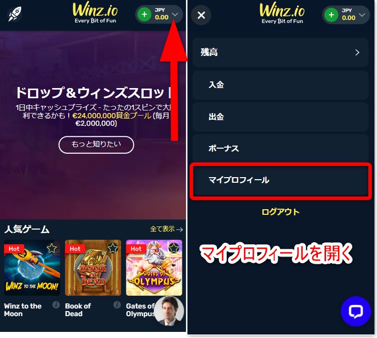 ウィンズアイオーのKYCでマイプロフィールを開く