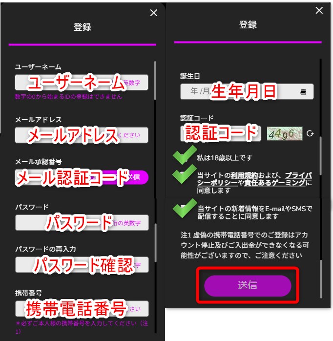 ワンダーカジノのノーマルプランの登録でメールアドレスや電話番号などの情報を入力する
